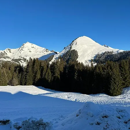 Au Coeur Du Praz-de-lys - Les Pralyssimes 아파트