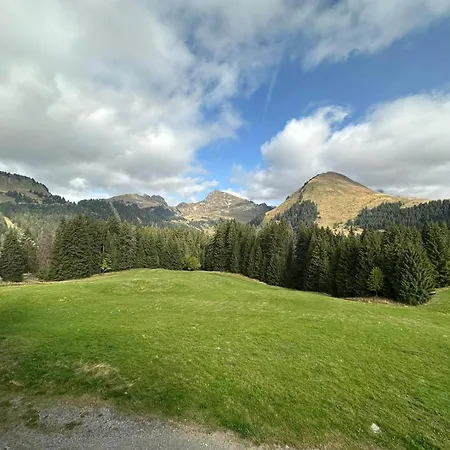 Au Coeur Du Praz-de-lys - Les Pralyssimes Апартаменты *