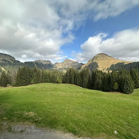 Au Coeur Du Praz-de-lys - Les Pralyssimes *