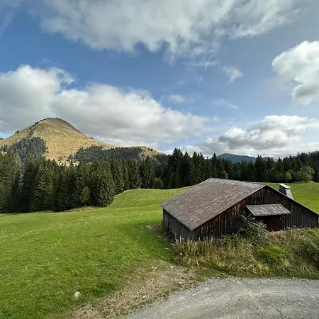 Apartament Au Coeur Du Praz-de-lys - Les Pralyssimes Praz de Lys – Sommand