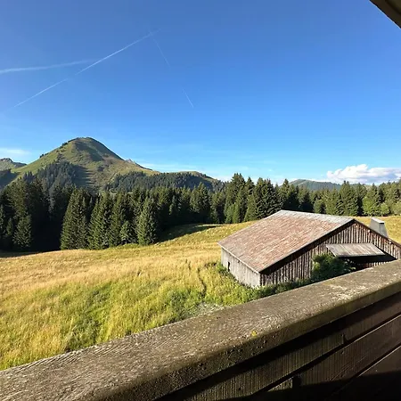 Au Coeur Du Praz-de-lys - Les Pralyssimes * Praz de Lys – Sommand