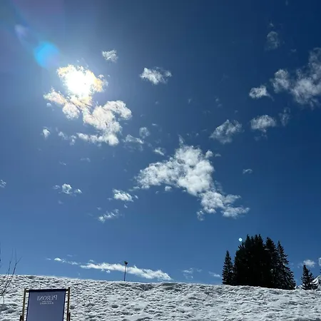 Au Coeur Du Praz-de-lys - Les Pralyssimes *