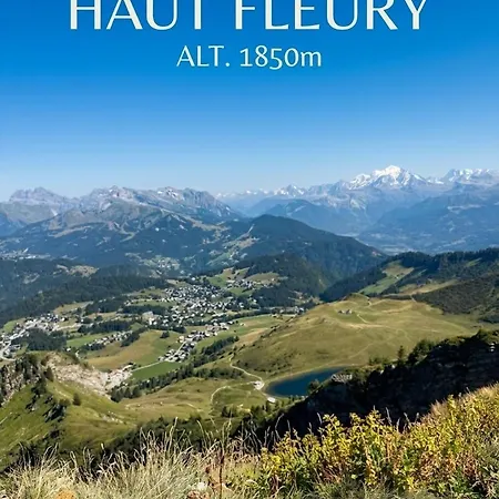 Apartament Au Coeur Du Praz-de-lys - Les Pralyssimes Praz de Lys – Sommand