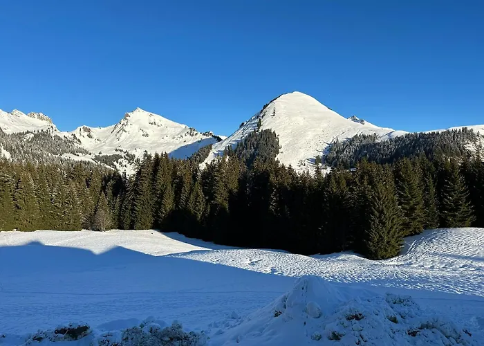 Au Coeur Du Praz-de-lys - Les Pralyssimes Appartamento