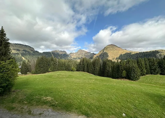 Au Coeur Du Praz-de-lys - Les Pralyssimes *