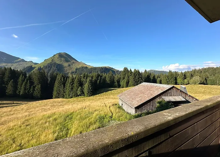 Au Coeur Du Praz-de-lys - Les Pralyssimes * Le Praz de Lys
