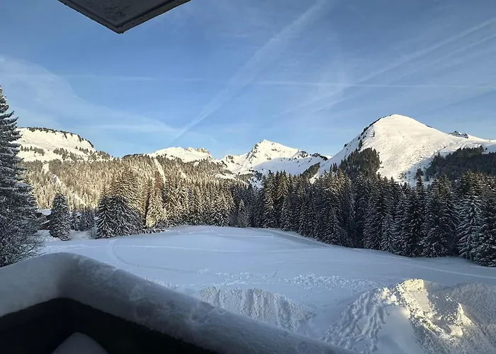 Appartamento Au Coeur Du Praz-de-lys - Les Pralyssimes *